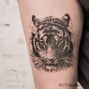 Фотография Kot Tattoo Studio 3