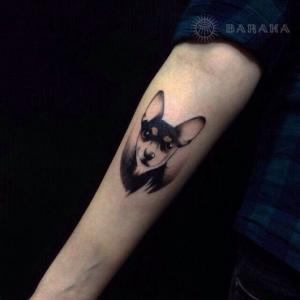 Фотография Tattoo-Lab 5