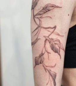 Фотография My Forest Ink 0