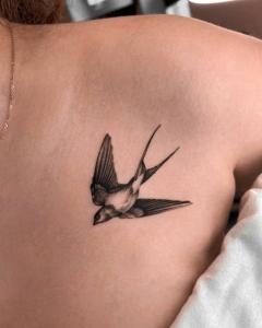 Фотография Закат 5