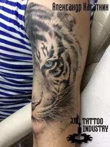 Фотография Tattoo Industry 5